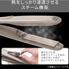 테스컴 TESCOM TS850A-C [프로텍트 이온 스팀 스트레이트 아이론 클레이 베이지]