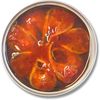 산리쿠산 정어리 통조림 토마토 조림(캔)