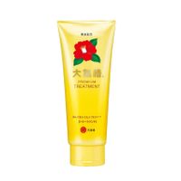 Oshima Tsubaki Premium Hair Treatment 180g