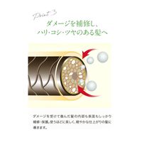 Oshima Tsubaki Excellent Shampoo 300 mL