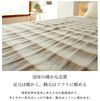 Sugiyama spun SUGIYAMA Electric Hanging Bachelor Washing Blanket NA-023S 100V Made in Japan