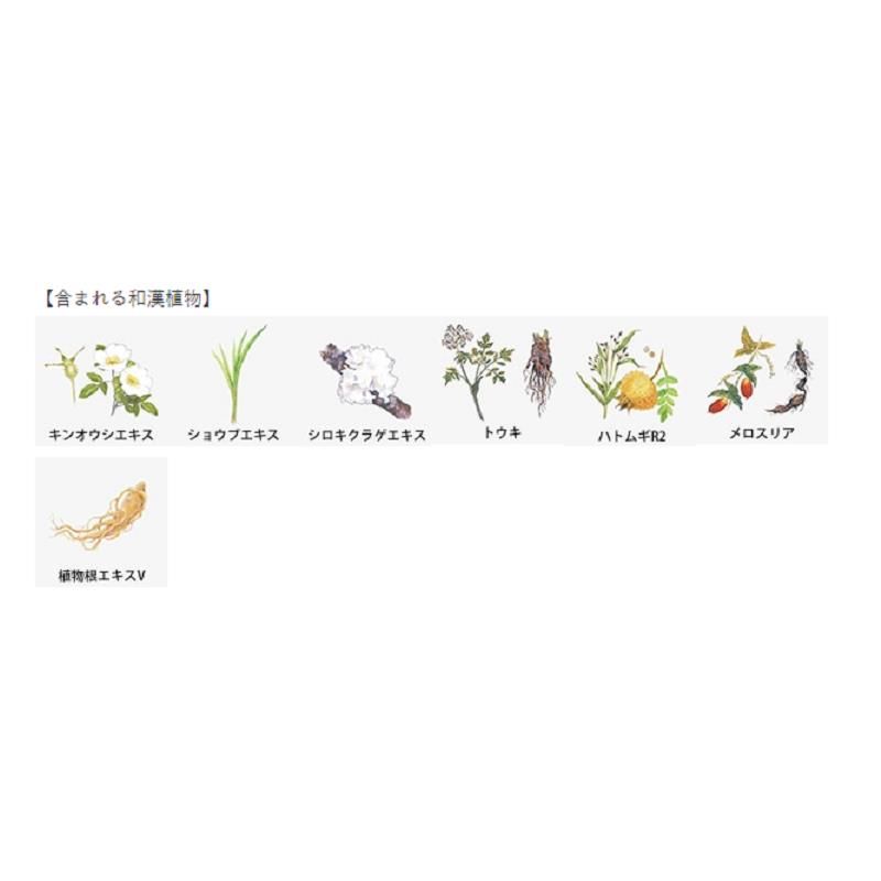 雪肌精みやび
アルティメイト　エマルジョン（140mL）