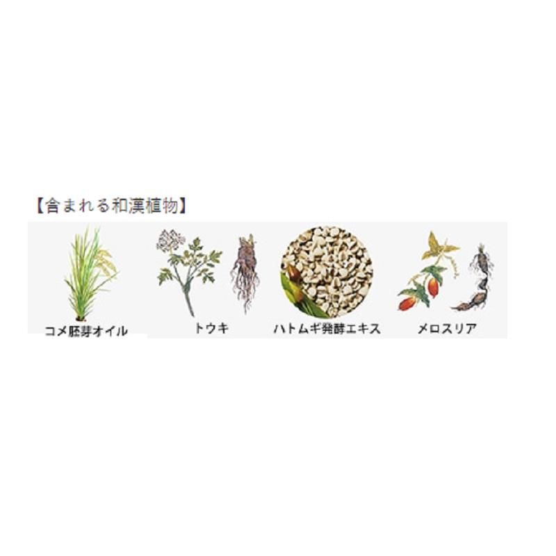 雪肌精みやび
【MYV】アクティライズ クリーム