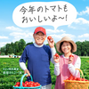Kagome Tomato Juice Premium No Salt Added 720ml x 15 Bottles