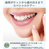 松下电动牙刷 Doltz 蓝色 EW-DA43-A