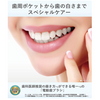 松下電動牙刷 Doltz 藍色 EW-DL35-A