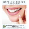 松下电动牙刷 Doltz 白色 EW-DA43-W