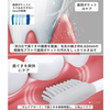 松下电动牙刷 Doltz 白色 EW-DA43-W