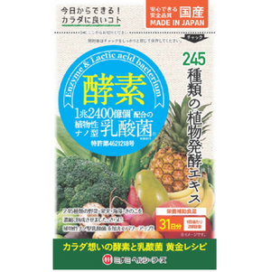 Enzyme 300㎎ x 62 balls