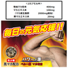 生玛卡 20 倍浓缩提取物 300 毫克 x 62 粒胶囊