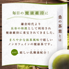 桑叶茶，桑叶粉，采用特殊种植的桑叶制成的限糖茶，不使用杀虫剂或除草剂，120克，1袋