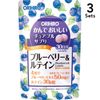 【3個セット】かんでおいしいチュアブルサプリブルーベリー&ルテイン120粒