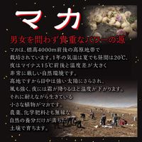 ORIHIRO 瑪卡黃金瑪格南10000 60片