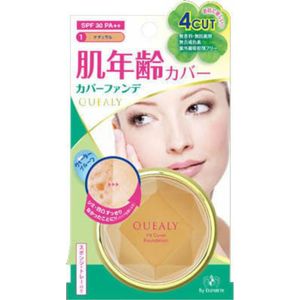 Query fit cover foundation