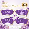 P&G Bold 4D洗衣球 薰衣草&花園香 補充裝