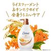 Dove Body Soap Rice Ferment & Sweet Osmanthus (Body Wash) Refill Large Capacity