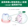 선스타 SUNSTAR GUM 검 플러스 덴탈린스 저자극 논알코올 타입 900ml