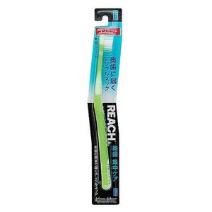 리치(REACH) 어금니 집중 케어 컴팩트 1개입 (보통)