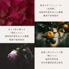 SHIZOOJU 红紫苏 护发保湿润发霜 200g
