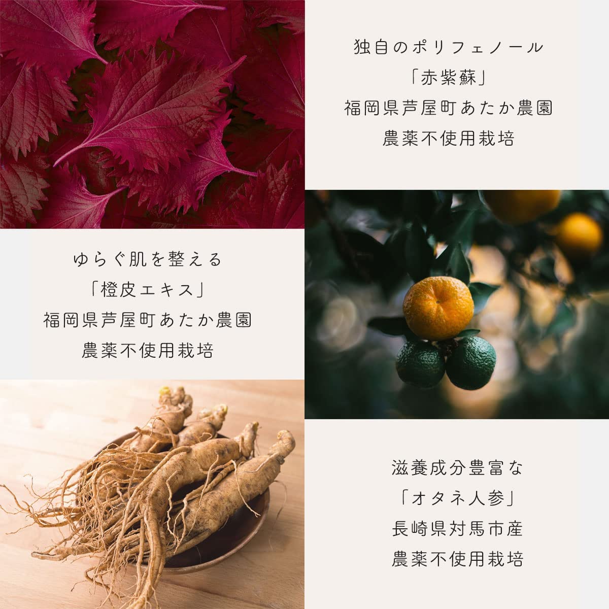 白酵Advance Cream Amazon.com: Alexander Simpson Est. 1919 Ultra-Glide Shave Cream