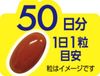 井藤漢方製薬 ルテインMAX 50粒