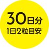 井藤漢方製薬 ルイモス 60粒 30日分