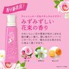 P&G Lenor Reset 清新玫瑰与天然花香 570毫升