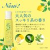 P&G 蕾諾亞 Reset 柑橘&馬鞭草 本體 570mL