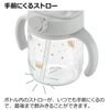 리첼 아스터 집&외출 스타트 세트