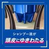 카오 석세스 약용 샴푸 엑스트라 쿨 본품 400ml