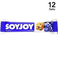 [12件装] SOYJOY 蓝莓 30g