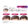 DHC Q10 プレミアム 白髪用カラートリートメント /ブラック 235g