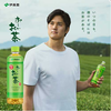 伊藤园 Oi Ocha 环保茶包 绿茶（含抹茶）20包