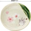Skater 美浓烧 小碟子 龙猫 吉卜力 13x2.5cm CHMD1-A