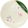 Skater Mino Ware 深盘 龙猫 吉卜力 21x4.4cm CHMD3-A