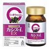 Morishita Jintan Cassis-i EX 60 tablets