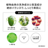 江原道東方植物潔面乳/沐浴露/80g