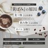 ASPLUSH 약용 치약 상쾌한 민트 100g【의약부외품】