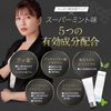 ASPLUSH 약용 치약 상쾌한 민트 100g【의약부외품】