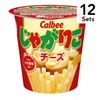【12個セット】じゃがりこ チーズ