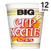[Set of 12] Cup Noodles Big 100g