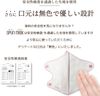 iSDG Ishokudougen.com 3D水刺无纺布彩色口罩 SPUN MASK 独立包装 灰色 30片