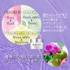 KOSE Bioliss Premium Night Repair Hair Mask Treatment 200g