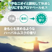 맨담 GATSBY(갸츠비) 프리미엄 타입 데오드란트 바디워시 리필용 320ml
