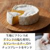 Tokyo Milk Cheese Factory Salt & Camembert Cookies (10 pieces)