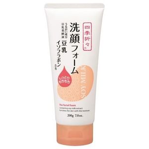 當季豆乳異黃酮洗面乳