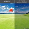 SWANS スワンズ サングラス STX DA-0167 PAW　STRIX D.A(ストリックス　ディーエー) ULTRA for GOLFモデル