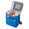THERMOS Soft Cooler 20L Blue RFD-020 BL 1 piece