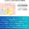 【2個セット】【第3類医薬品】トランシーノ ホワイトCクリア 240錠