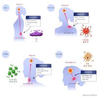 【3개 세트】【지정 제2류 의약품】이브 A정 / 48정